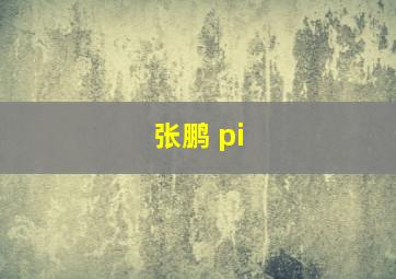 张鹏 pi